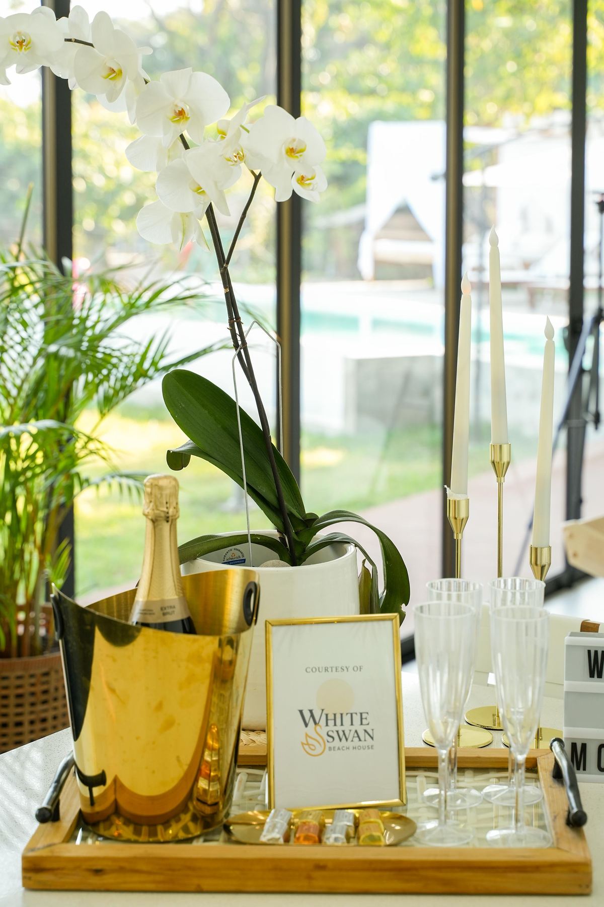Welcome tray with wine and orchid